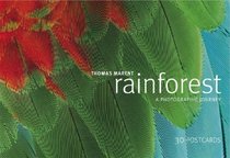 Rainforest (Postcards)