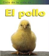 El Pollo / Chicken (Ciclos De La Vida De... / Life Cycle of a...) (Spanish Edition)