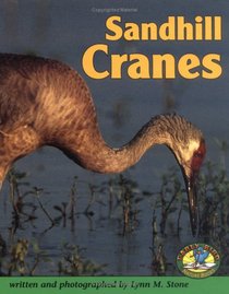 Sandhill Cranes (Early Bird Nature Books)