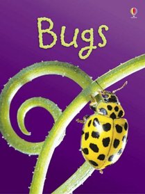 Bugs (Usborne Beginners) (Usborne Beginners)