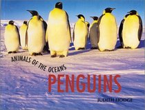 Animals of the Ocean - Penguins