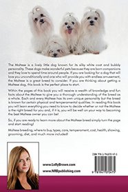 Maltese Dogs as Pets: Maltese breeding, where to buy, types, care, temperament, cost, health, showing, grooming, diet, and much more included! Caring For Your Maltese
