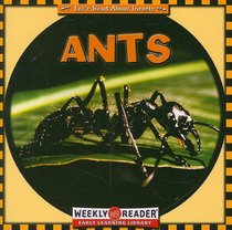 Ants (Let's Read About Insects)