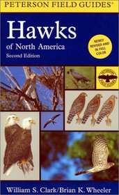 A Field Guide to Hawks of North America