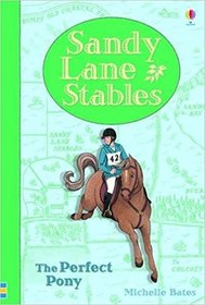 The Perfect Pony (Sandy Lane Stables, Bk 8)