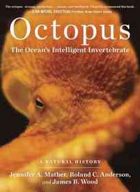 Octopus: The Ocean's Intelligent Invertebrate