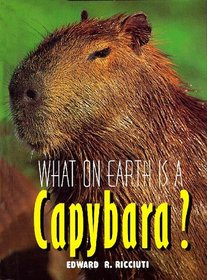 What on Earth Is a Capybara? (What on Earth)