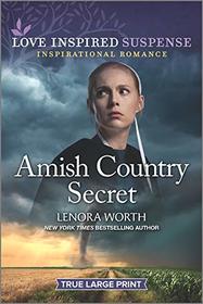 Amish Country Secret (Love Inspired Suspense, No 874) (True Large Print)