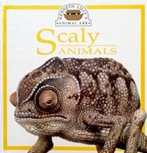 Lilly's Ark Scaly