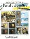 Introduccion Al Pastel y Al Acrilico