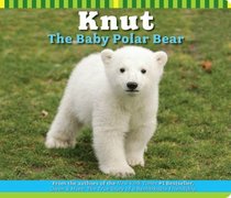 Knut The Baby Polar Bear