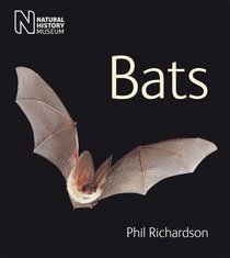Bats (Life)