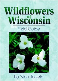 Wildflowers Of Wisconsin