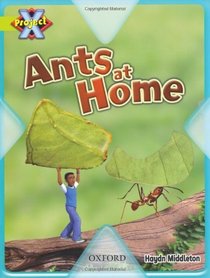 Project X: Underground: Ants at Home