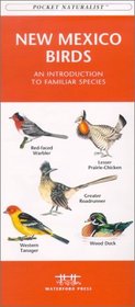 New Mexico Birds: An Introduction to Familiar Species