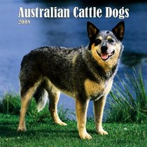 Australian Cattle Dogs 2008 Square Wall Calendar (German, French, Spanish and English Edition)