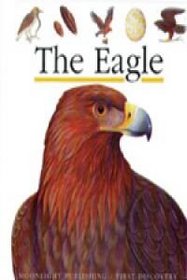 The Eagle (My First Discoveries Series)