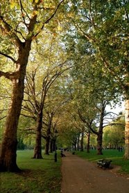 Green Park in London England UK Journal: 150 page lined notebook/diary