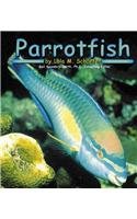 Parrotfish (Ocean Life) (Schaefer, Lola M., Ocean Life.)