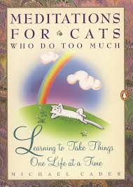 Meditations for Cats (who do too much)