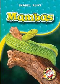 Mambas (Blastoff! Readers: Snakes Alive) (Blastoff! Readers Level 3: Snakes Alive)