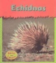 Echidnas (Schaefer, Lola M., Tiny-Spiny Animals.)