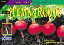 Plant Stems  Roots (Look Once, Look Again Science Series)