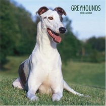 Greyhounds 2008 Square Wall Calendar (German, French, Spanish and English Edition)