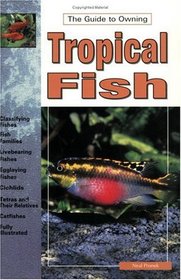 Tropical Fish