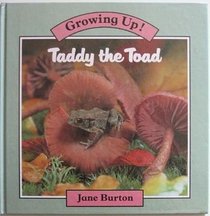 Taddy the Toad (Growing Up)