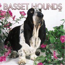 Basset Hounds 2005 Wall Calendar