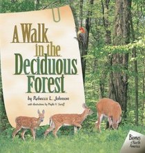 A Walk in the Deciduous Forest