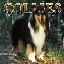 Collies 2005 Wall Calendar