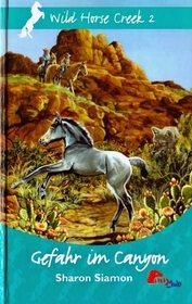 Gefahr im Canyon (Coyote Canyon) (Wild Horse Creek, Bk 2) (German Edition)