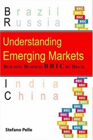 Understanding Emerging Markets: Building Business Bric by Brick (Response Books) (Response Books)