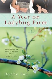 A Year on Ladybug Farm (Ladybug Farm, Bk 1)