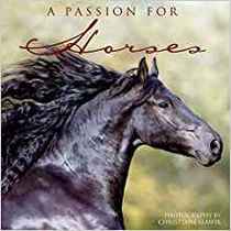 A Passion for Horses