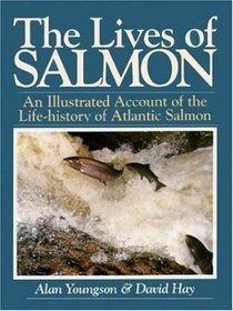 The Lives Of Salmon