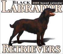 Black Labrador Retrievers 2005 Boxed Calendar