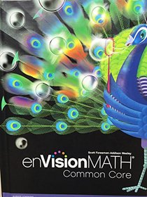 Envision Math Florida 2011 Review Copy