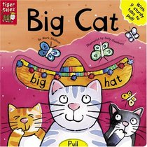 Big Cat (All Change Board Books)