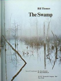 The Swamp