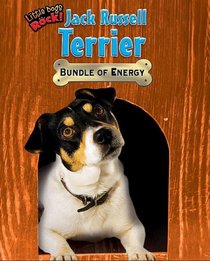 Jack Russell Terrier: Bundle of Energy (Little Dogs Rock!)
