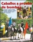 Caballos a prueba de bombas/ Bombproof Your Horse (Spanish Edition)