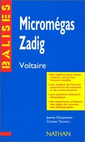 Micromegas Zadig (Balises)