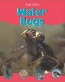Water Bugs (Bug Zone)