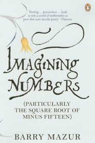 Imagining Numbers