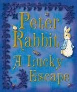 Peter Rabbit: A Lucky Escape