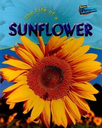 Life of a Sunflower (Life Cycles)