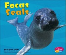 Focas / Seals (Bajo Las Olas/Under the Sea series) (Bajo Las Olas/Under the Sea)